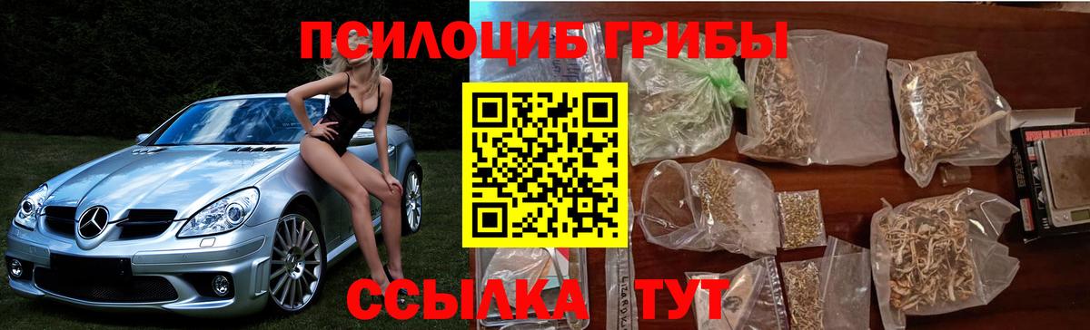 Галлюциногенные грибы Magic Shrooms  Вход с VPN  Удомля  Псилоцибиновые грибы MAGIC MUSHROOMS 